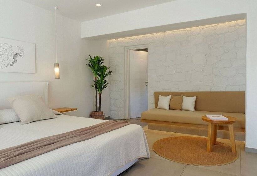 带园景的小型套房, Andronikos