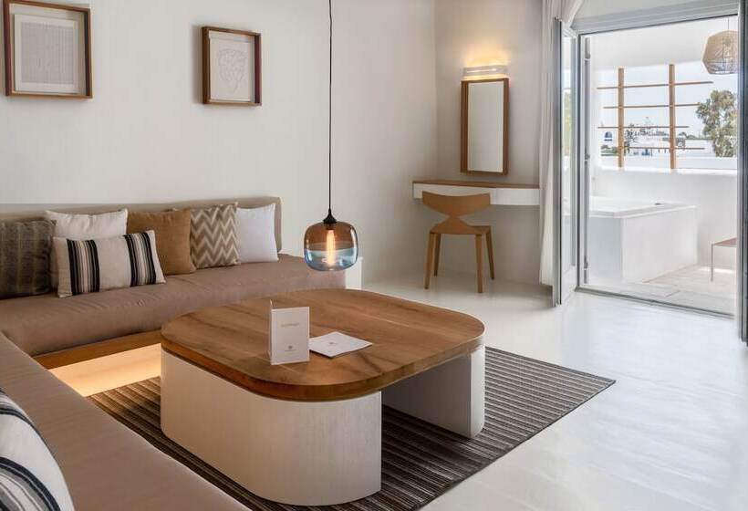 小型套房带泳池景, Andronikos