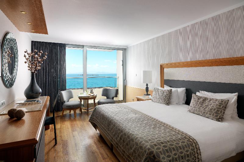 이그제큐티브 룸, Divani Apollon Palace & Thalasso