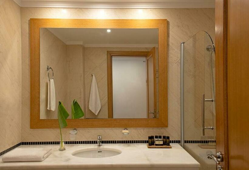 غرفة قياسية مطلّة علي الحديقة, Mitsis Norida