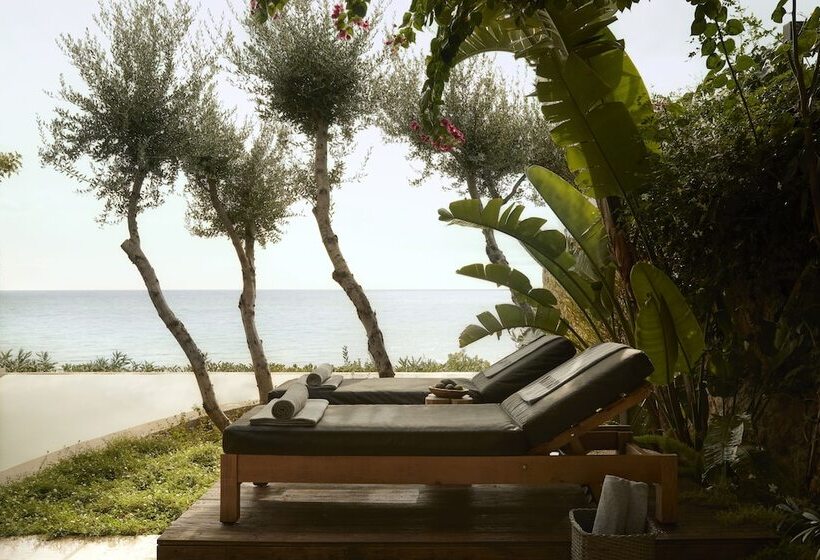 수피리어 룸, F Zeen Kefalonia