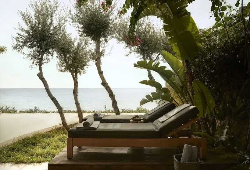 سوییت, F Zeen Kefalonia