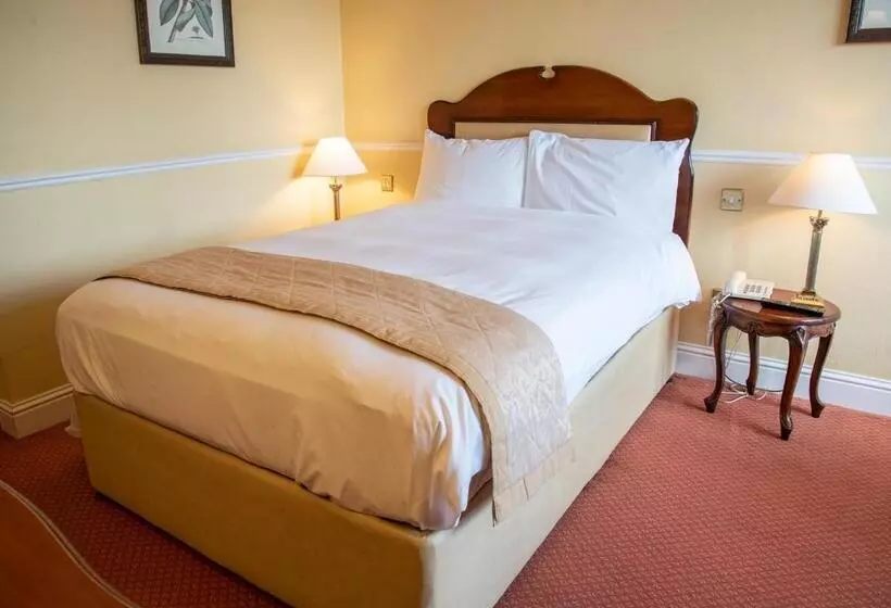 اتاق استاندارد یک نفره, Brandon Hotel Conference & Leisure Centre