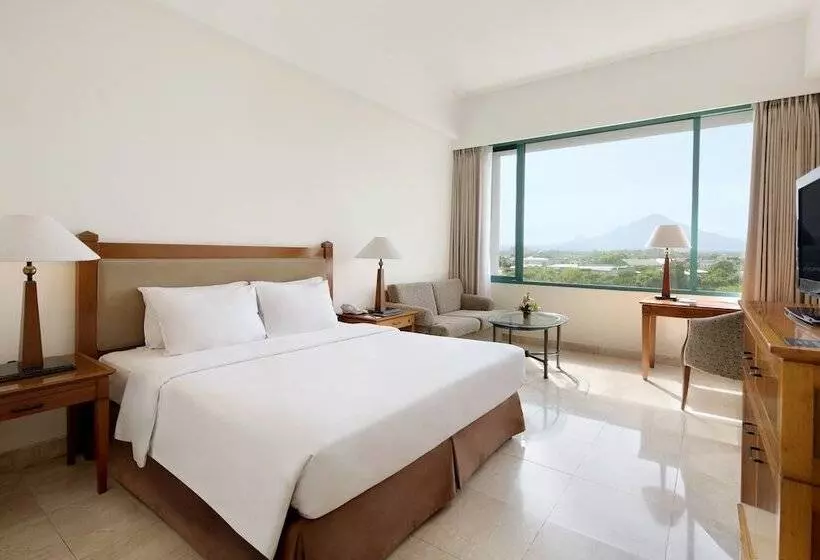 اتاق لوکس, Aryaduta Manado