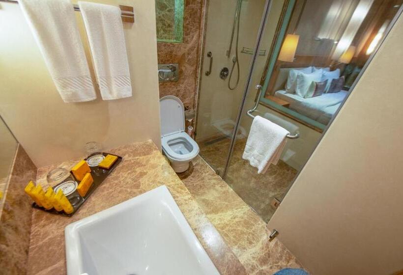 Deluxe Room, Bawa International