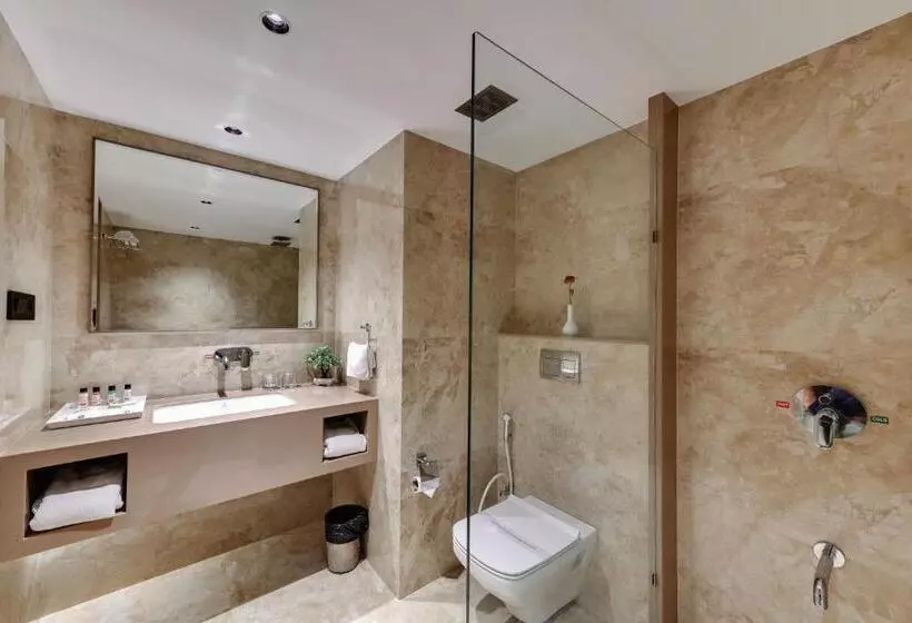 デラックスルーム, Quality Inn Regency, Nashik