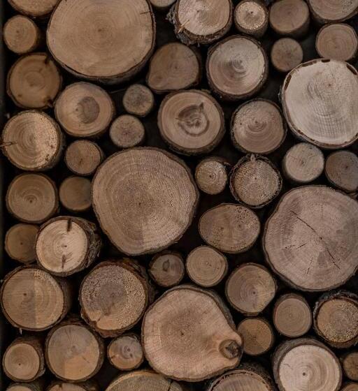 수피리어 룸 가든 전망, Astoria