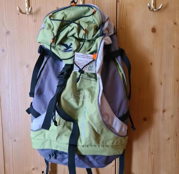 스탠다드 룸, Astoria