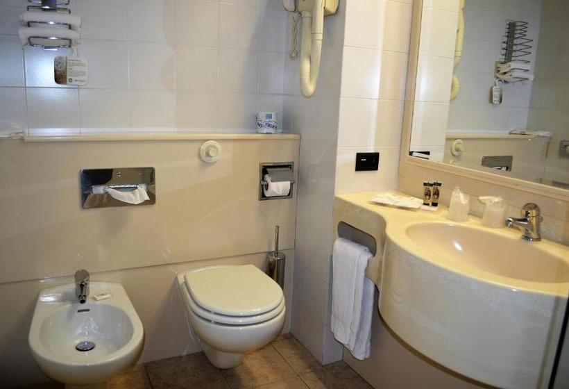 اتاق استاندارد با تخت بزرگ, Best Western Park