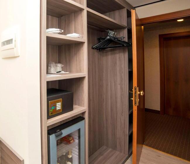 اتاق استاندارد با تخت بزرگ, Best Western Park