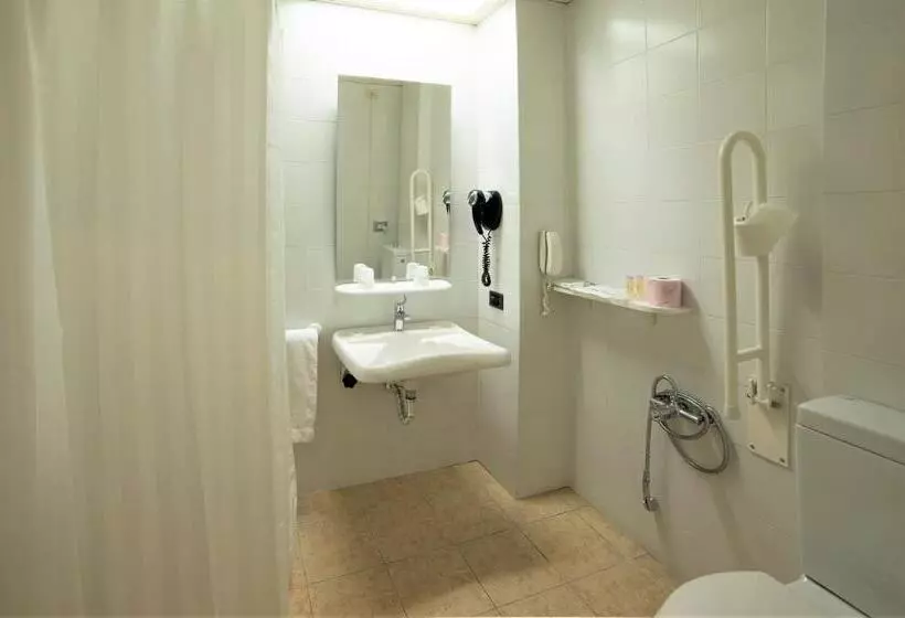 身障者適用スタンダードルーム, Best Western Park