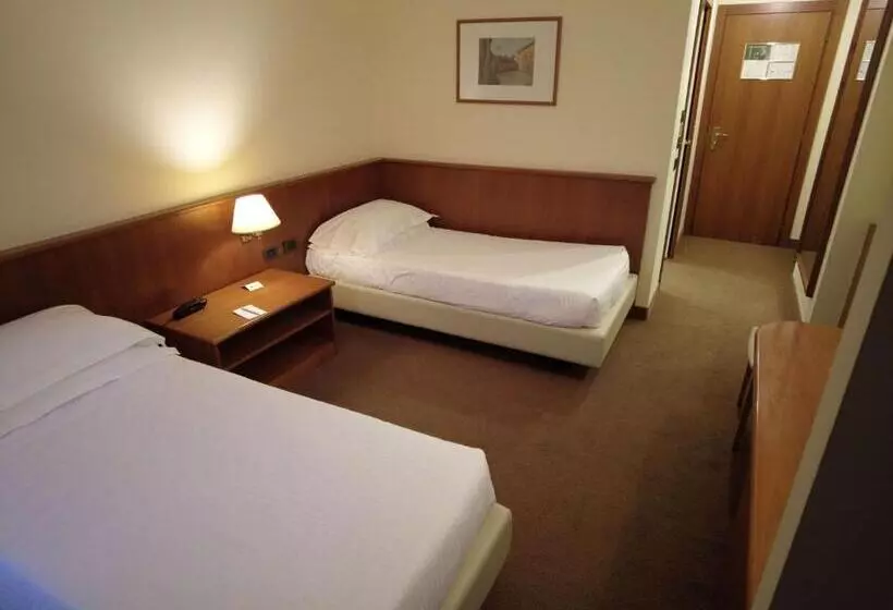 身障者適用スタンダードルーム, Best Western Park