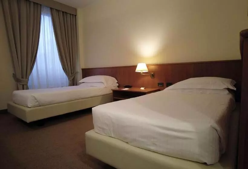 身障者適用スタンダードルーム, Best Western Park