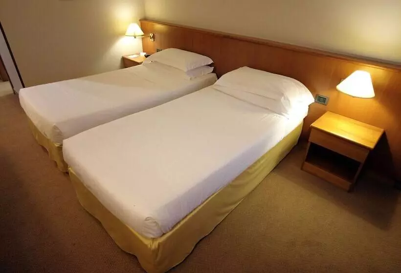 スタンダードルーム, Best Western Park