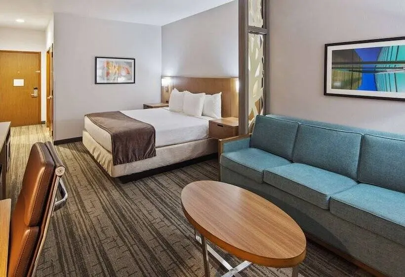 身障者適用スイートルーム, Best Western Green Oaks Inn