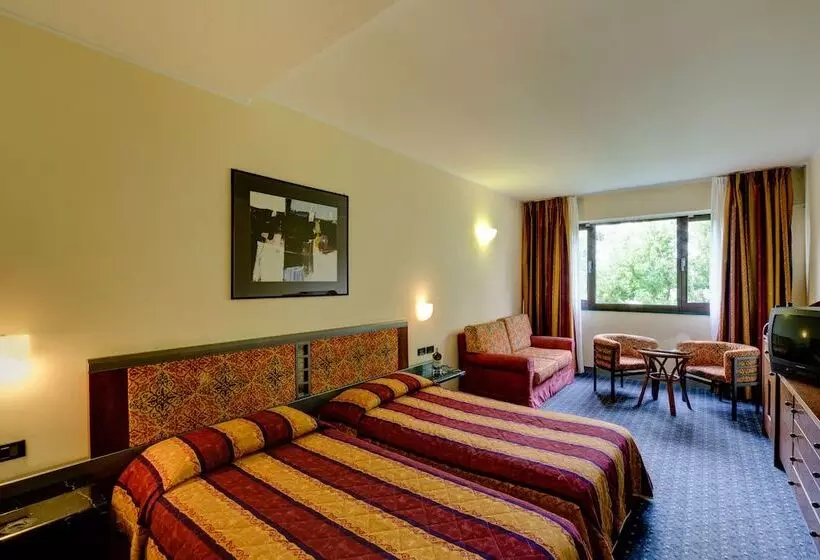 エコノミールーム, Parc Hotel Gritti