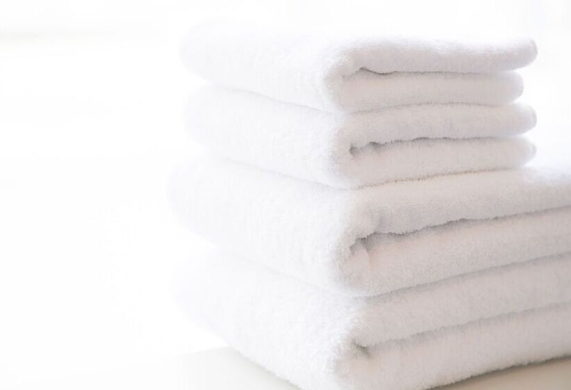 家庭间, Granvia Osaka Jr Hotel Group