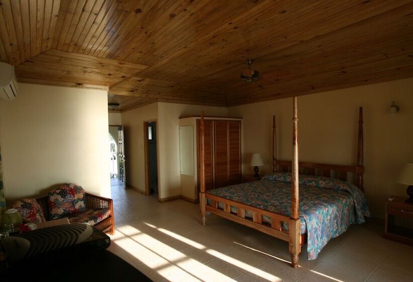 Deluxe Værelse Havudsigt, Le Mirage