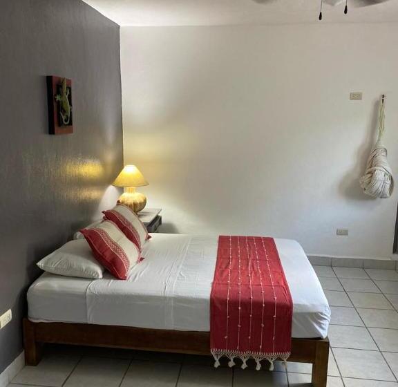 스탠다드 룸, Caribo Cozumel