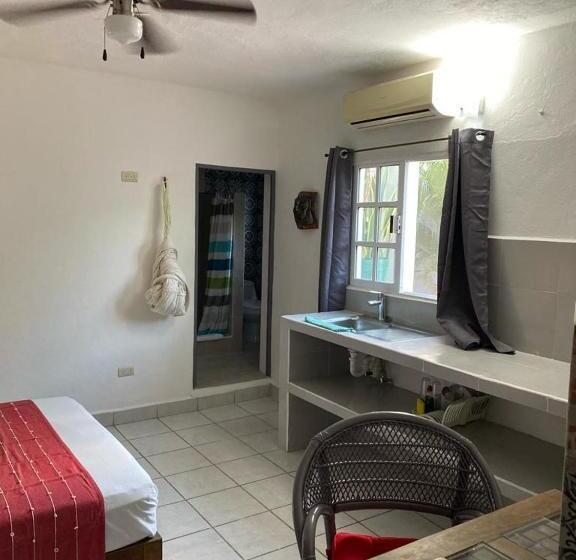 스탠다드 룸, Caribo Cozumel