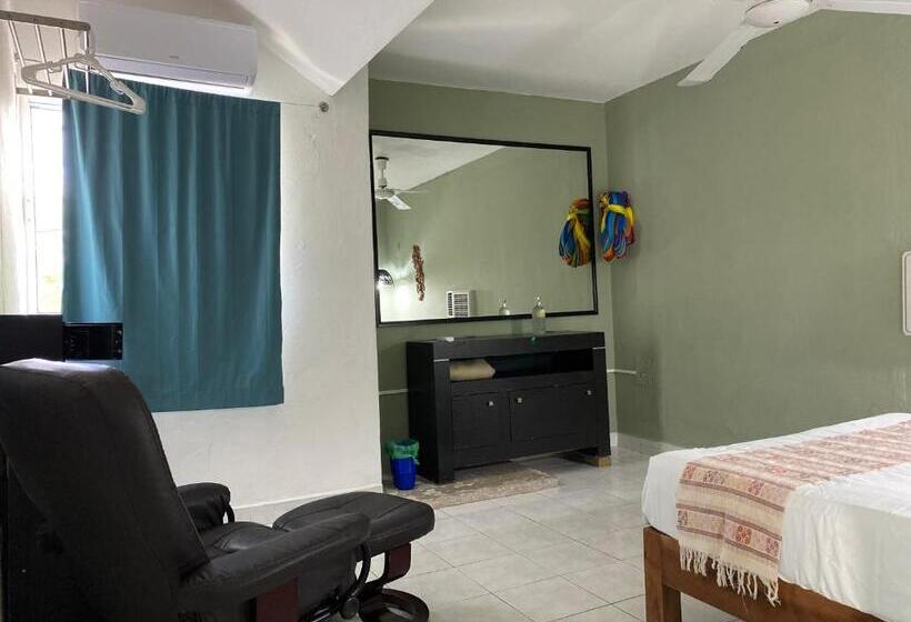 스탠다드 룸 공동 욕실, Caribo Cozumel