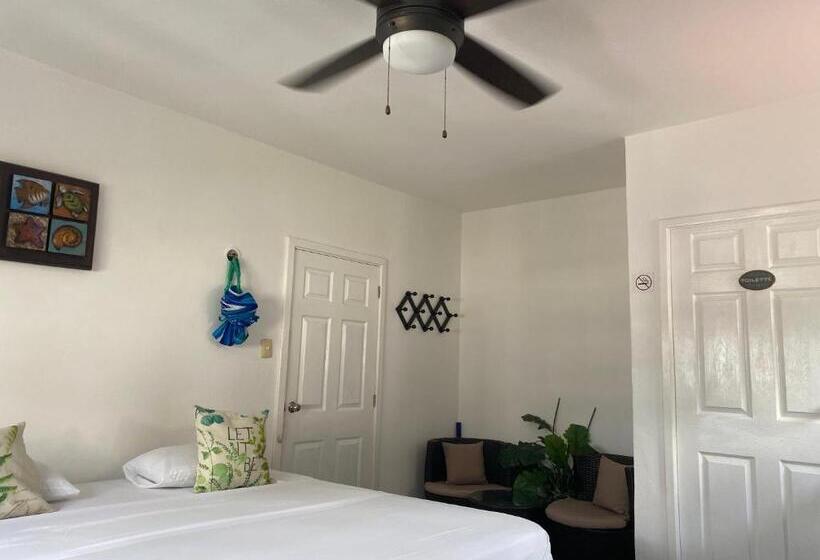 디럭스 룸 킹사이즈 침대, Caribo Cozumel