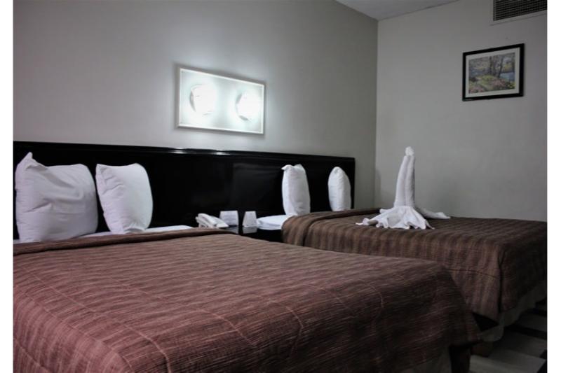 جناح جونيور, Aristos Puebla