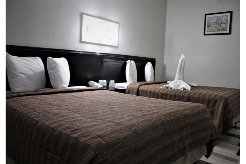 جناح جونيور, Aristos Puebla