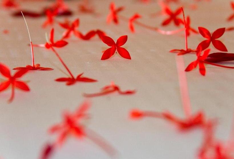 スタンダードルーム, Ciudad Real Palenque