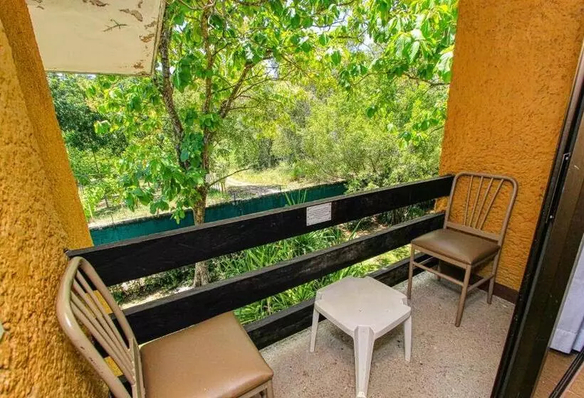 سوییت جونیور, Ciudad Real Palenque