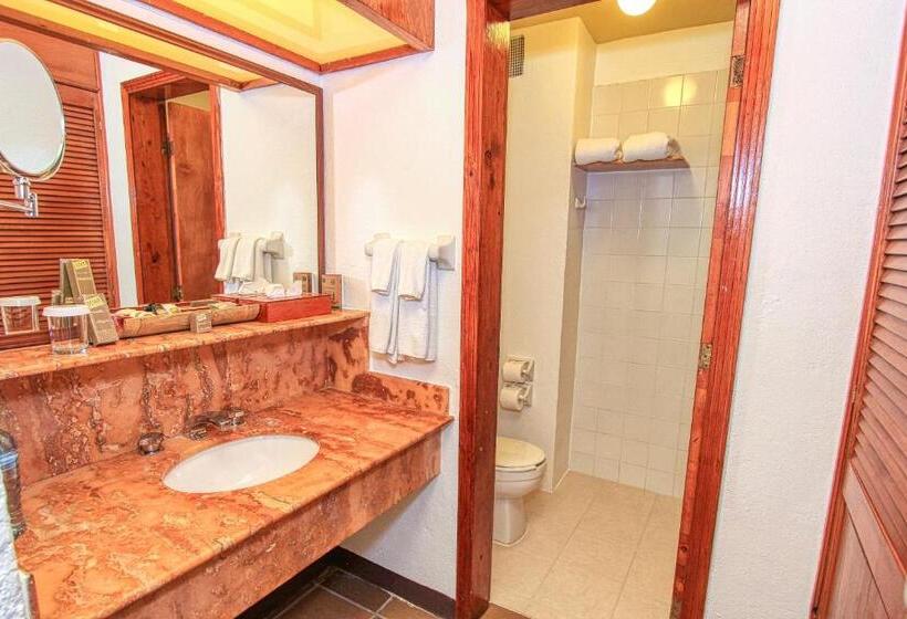 ジュニアスイート, Ciudad Real Palenque