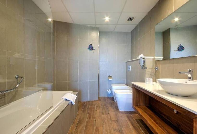 غرفة قياسية, Vivaldi