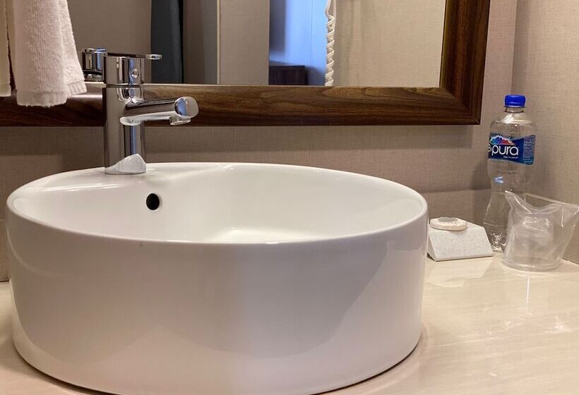 اتاق کلاسیک با تخت دوبل, Courtyard By Marriott Puebla Las Animas