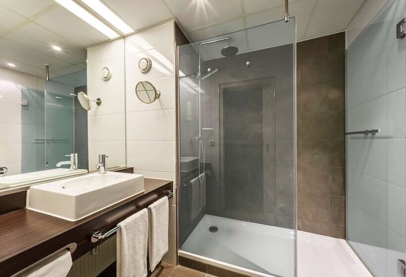 高级大房间, Golden Tulip Ampt Van Nijkerk