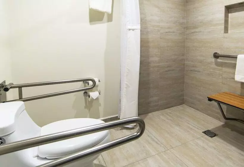 اتاق استاندارد با 2 تخت دوبل, Holiday Inn Mexico Dali Airport, An Ihg