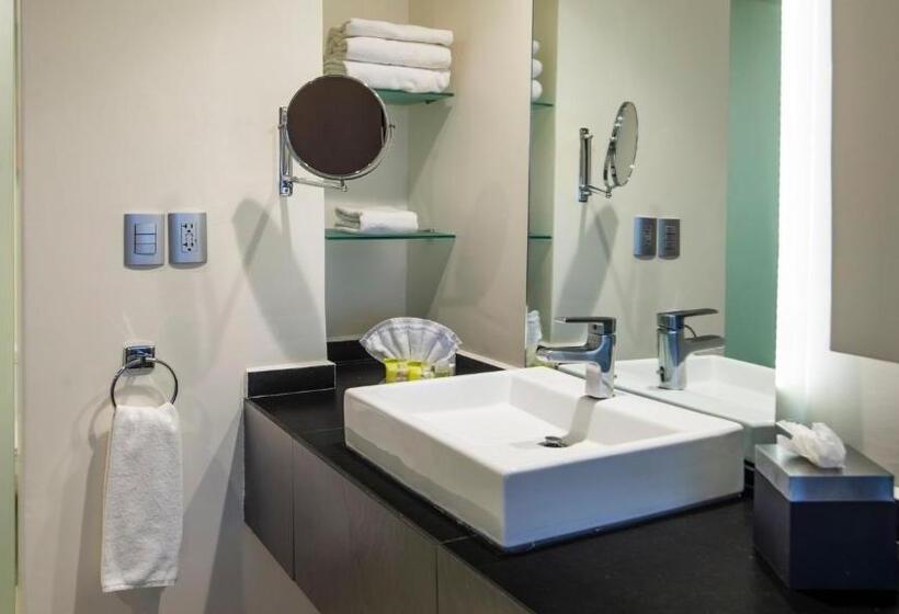 اتاق استاندارد با تخت بزرگ, Holiday Inn Mexico Dali Airport, An Ihg