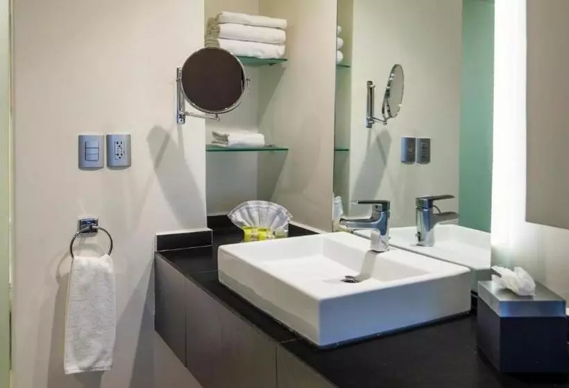 اتاق استاندارد با تخت بزرگ, Holiday Inn Mexico Dali Airport, An Ihg