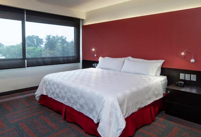 اتاق استاندارد با تخت بزرگ, Holiday Inn Mexico Dali Airport, An Ihg
