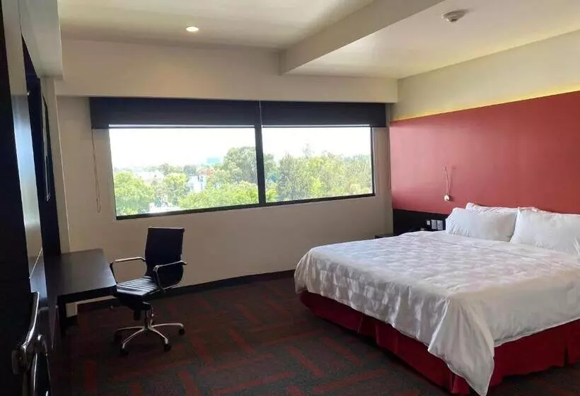 اتاق استاندارد با تخت بزرگ, Holiday Inn Mexico Dali Airport, An Ihg