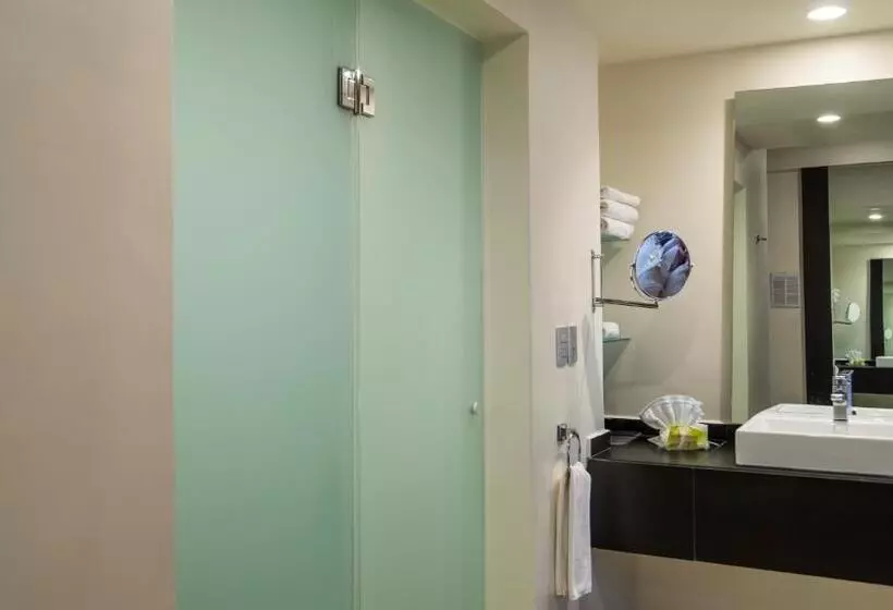 اتاق استاندارد با تخت بزرگ, Holiday Inn Mexico Dali Airport, An Ihg