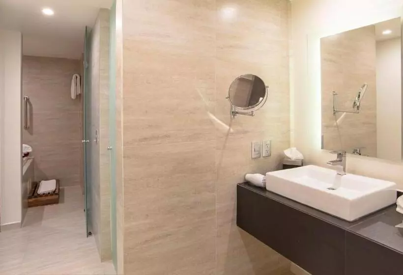 سوئیت با تخت بزرگ, Holiday Inn Mexico Dali Airport, An Ihg