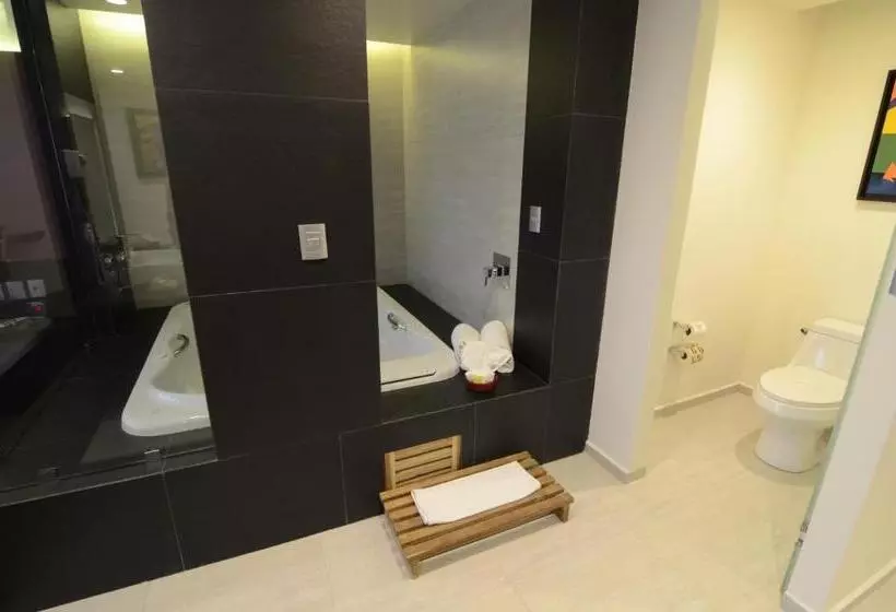 سوئیت جونیور با تخت بزرگ, Holiday Inn Mexico Dali Airport, An Ihg