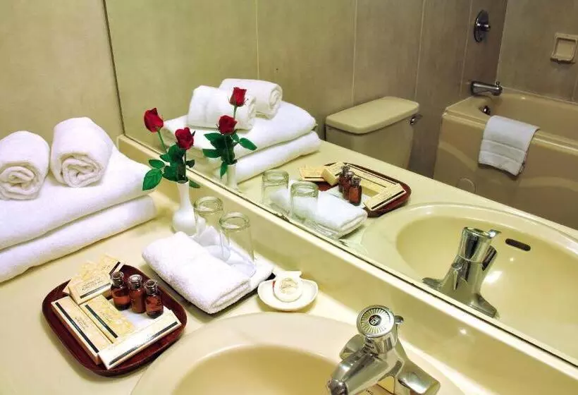 اتاق لوکس یک تخته, Summit Parkview Yangon