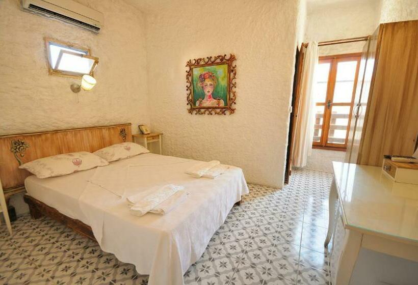 חדר סטנדרט, Afet Hanim Konagi