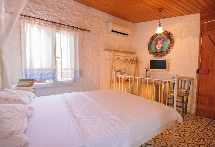 חדר סטנדרט, Afet Hanim Konagi