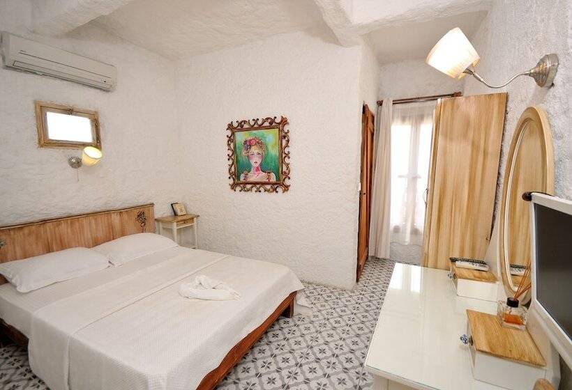 חדר סטנדרט, Afet Hanim Konagi