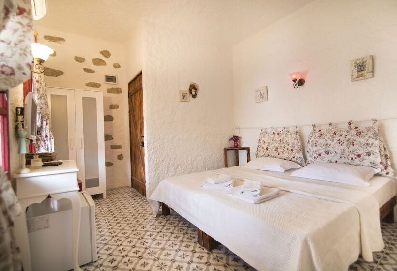 חדר סטנדרט, Afet Hanim Konagi