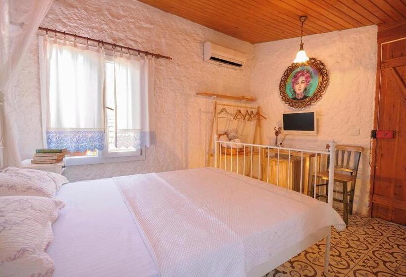 חדר סטנדרט, Afet Hanim Konagi