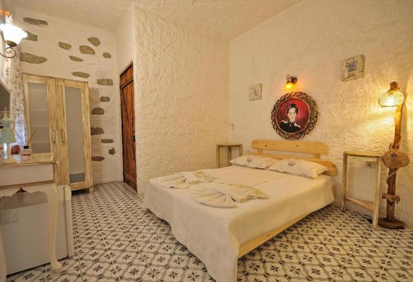 חדר סטנדרט, Afet Hanim Konagi