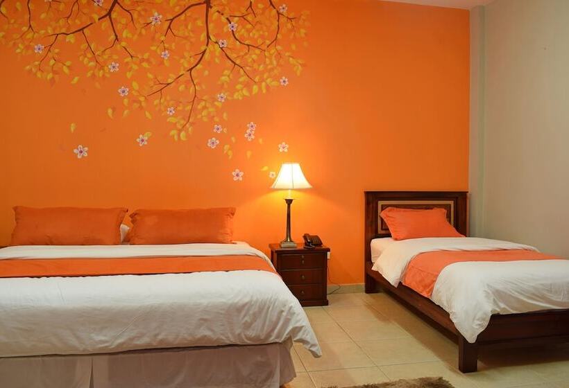 חדר סופריור לשלושה, Meraki